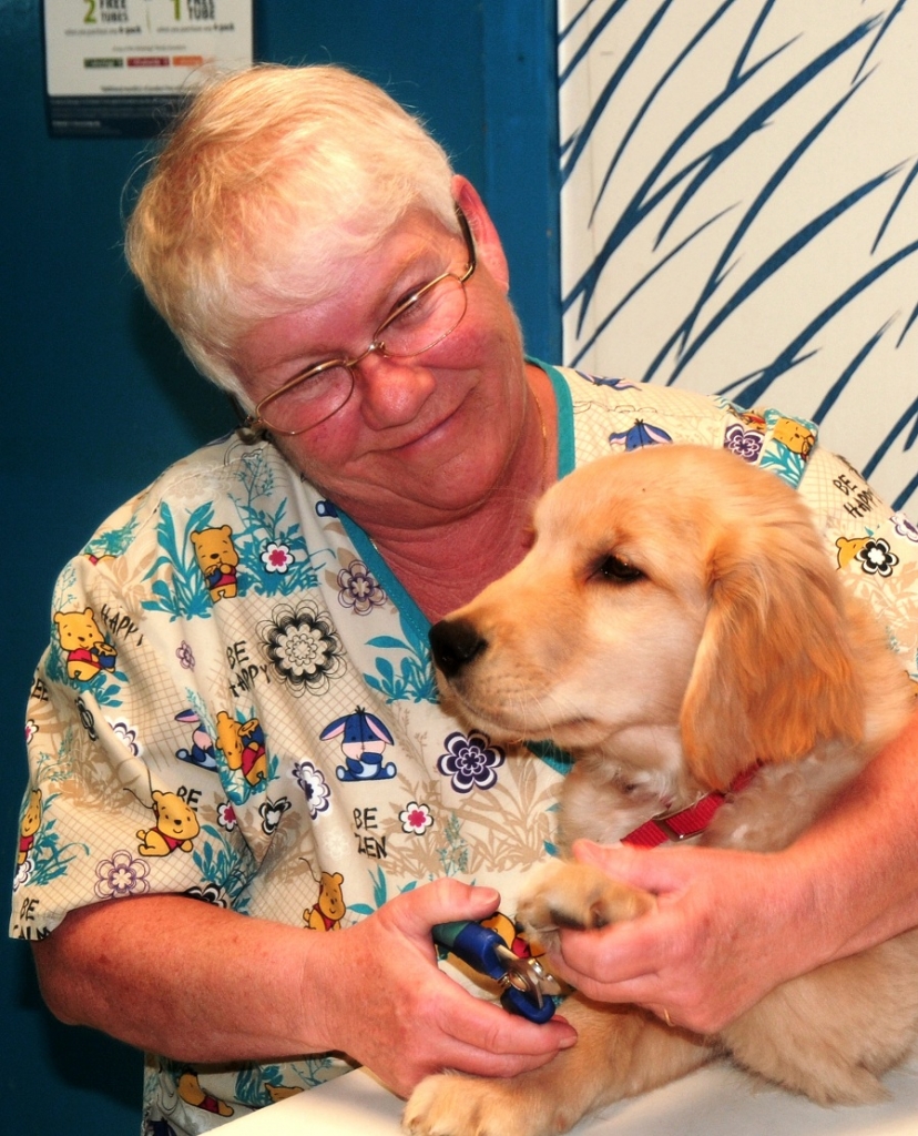 The Animal House Buzzards Bay, MA Our Staff